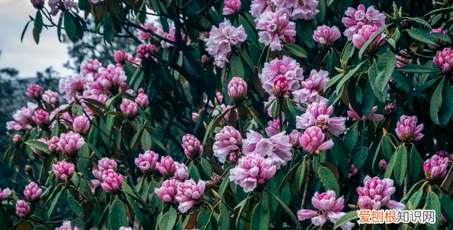 五一去哪玩先看看这份旅游攻略