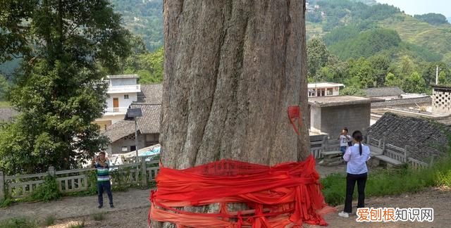 五一去哪玩先看看这份旅游攻略
