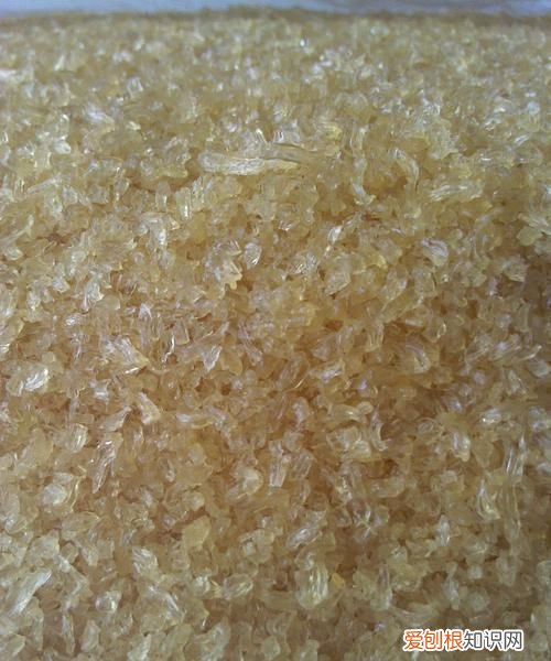 黄明胶是什么做的