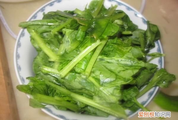 粉条汤的做法，酸菜粉条汤怎么做家常做法