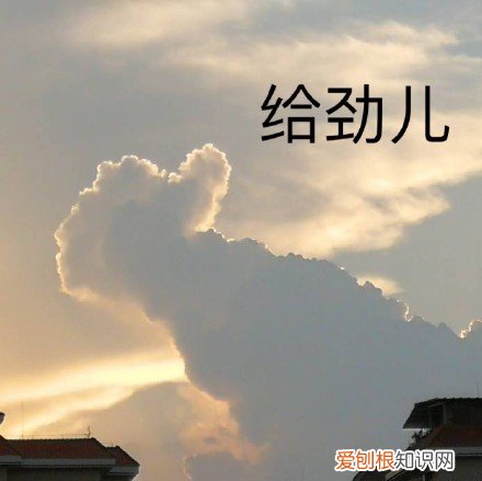 ck香水女士最受欢迎款哪款最好闻