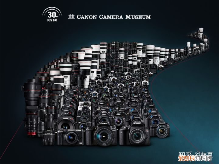 佳能ixus80质量怎么样