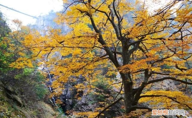 广西南宁十景图片