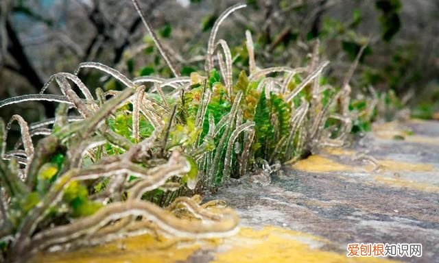 广西南宁十景图片