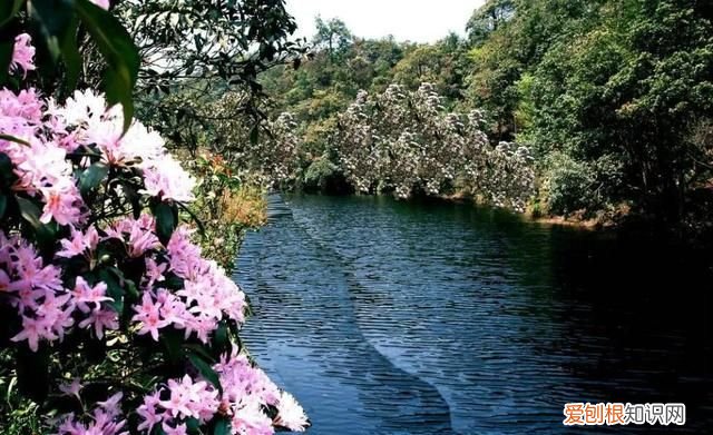 广西南宁十景图片