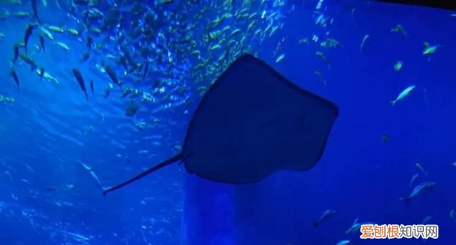 广西南宁十景图片