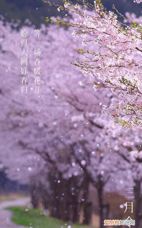 三月春天的诗句唯美，2022年三月的第一天的诗句