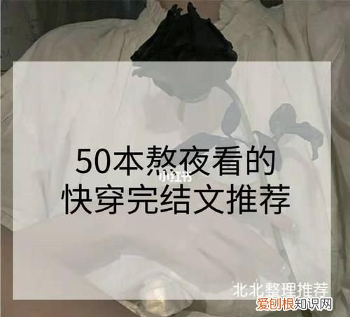 推荐50本熬夜看完的小说