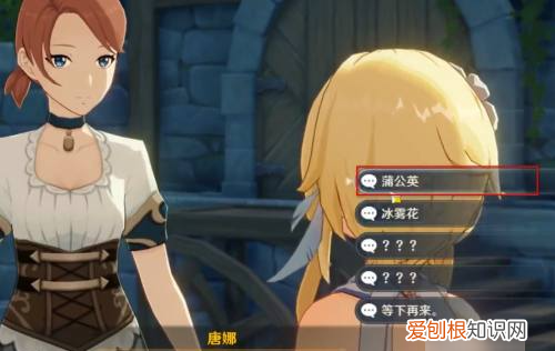 丽莎会喜欢的纪念品选什么，原神丽莎喜欢什么纪念品有两个问号