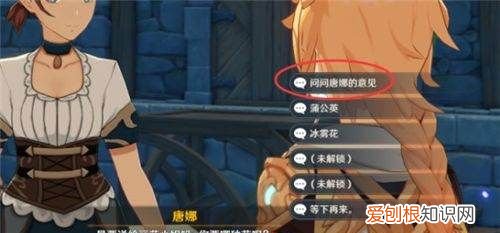 丽莎会喜欢的纪念品选什么，原神丽莎喜欢什么纪念品有两个问号