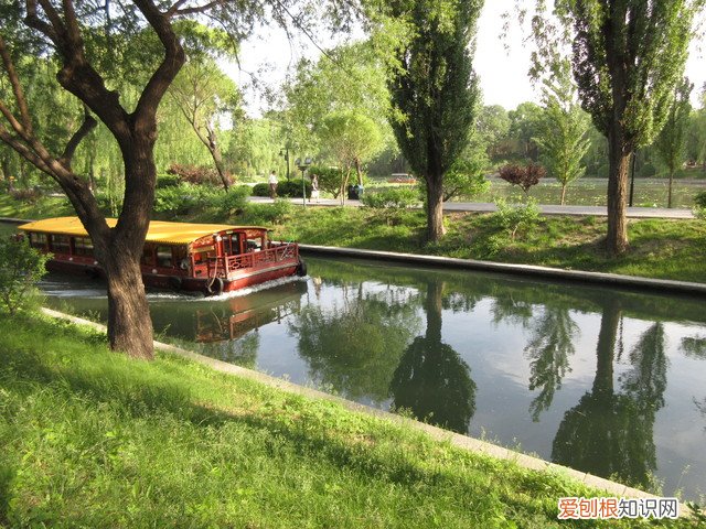 佳能ixus系列哪款最好