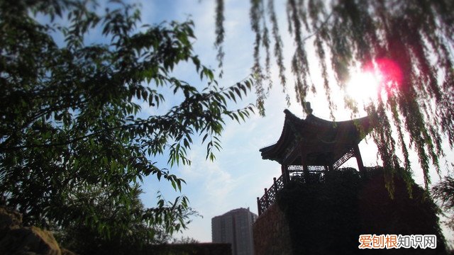 佳能ixus系列哪款最好