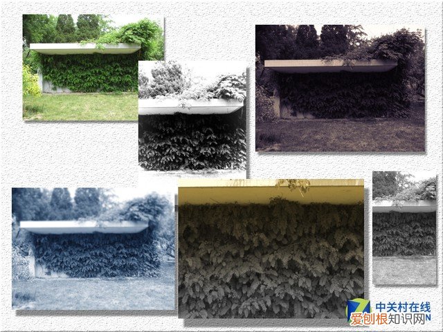 佳能ixus系列哪款最好