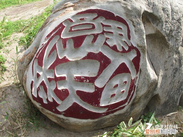 佳能ixus系列哪款最好