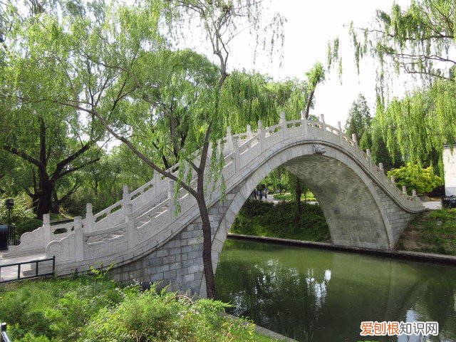 佳能ixus系列哪款最好