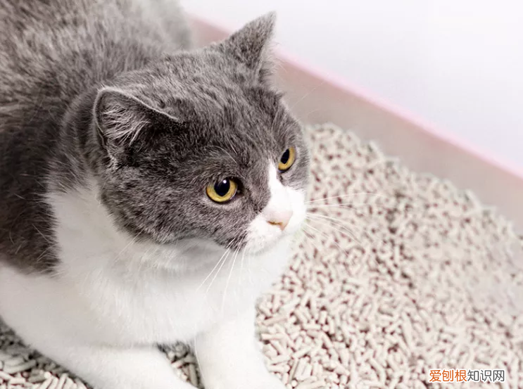 无针订书机怎么用