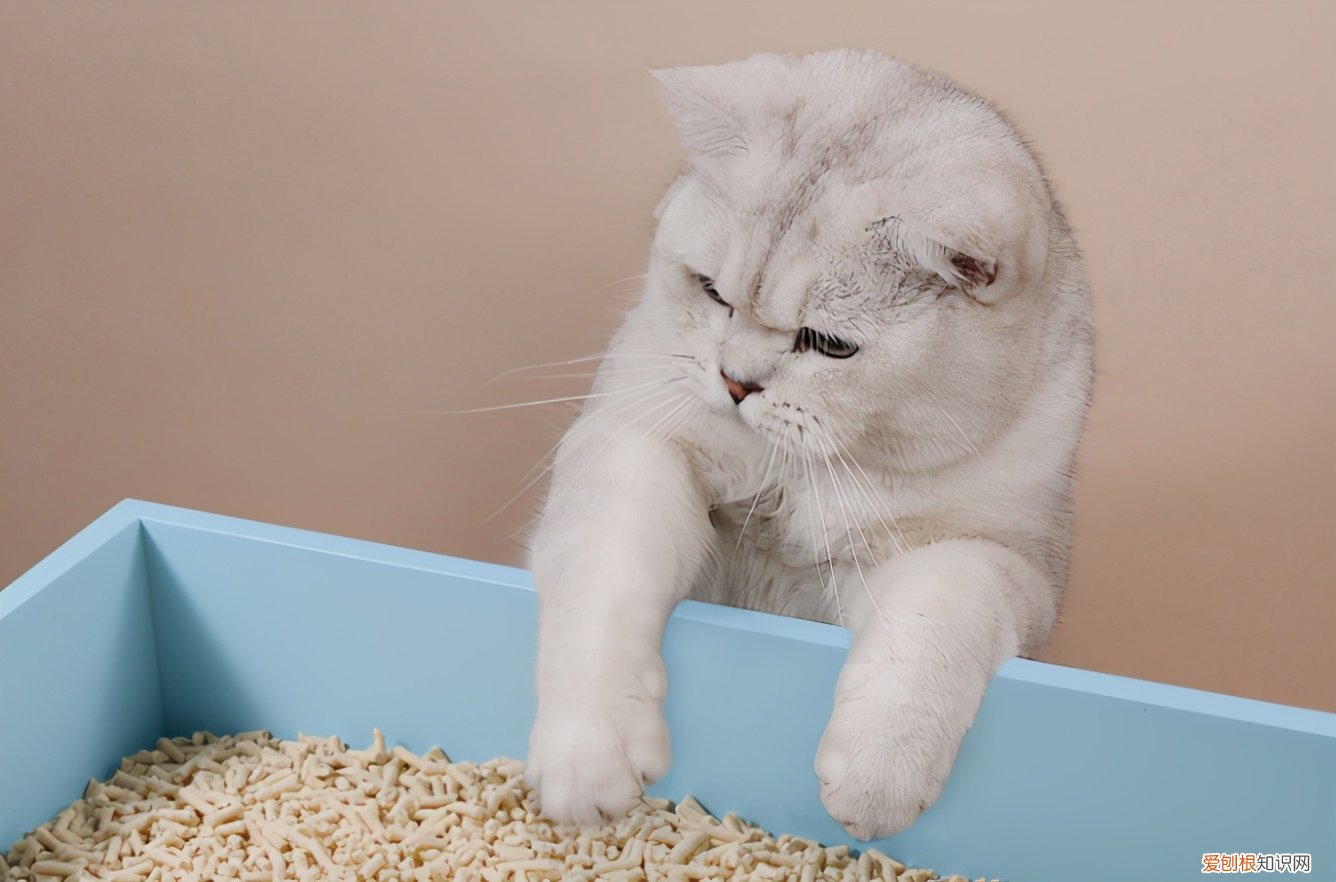 无针订书机怎么用