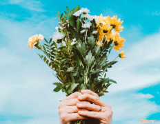 无针订书机怎么用