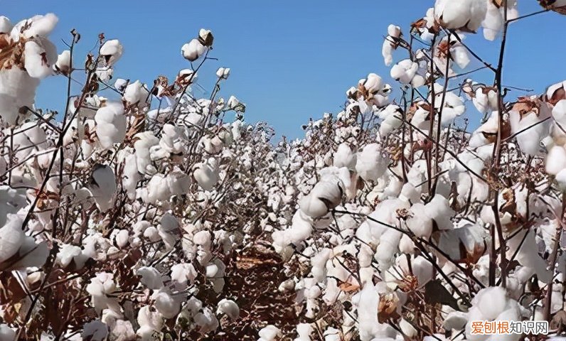 水星家纺四件套怎么样