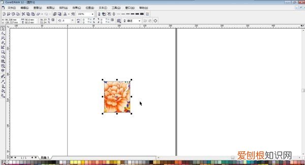 cdr该咋的才能更改尺寸，cdr怎么才能把图片变成同一种颜色