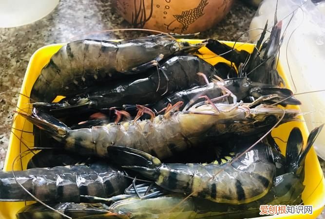 早上买的活虾保鲜晚上,早上买的鲜虾晚上吃如何保存