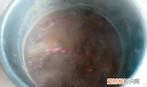 如何吃驴肉最美味之红烧驴肉，如何做出一盘好吃的红烧驴肉视频