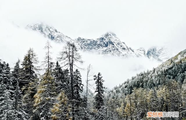 九寨沟和毕棚沟哪个更值得一去,九寨沟毕棚沟自由行最全攻略