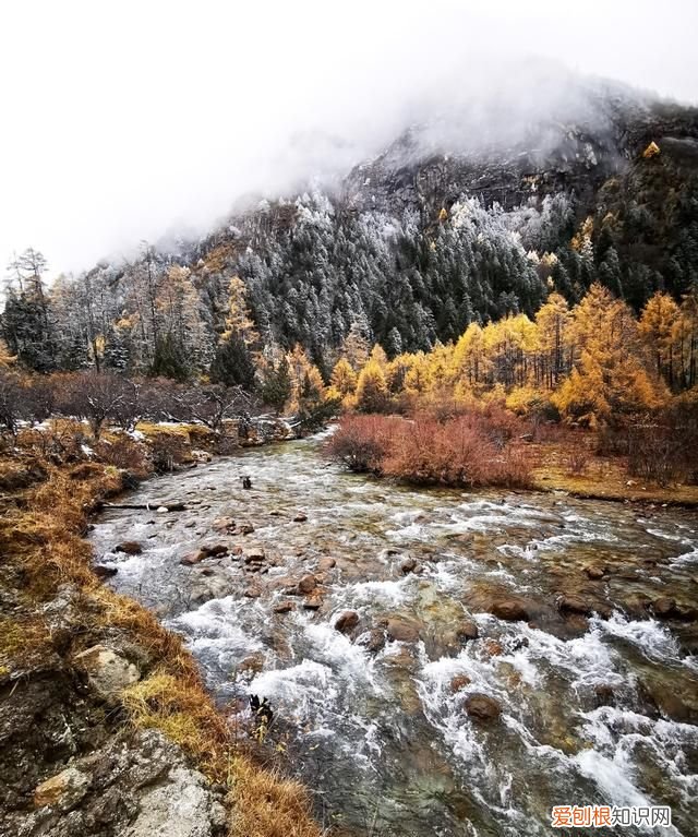 九寨沟和毕棚沟哪个更值得一去,九寨沟毕棚沟自由行最全攻略