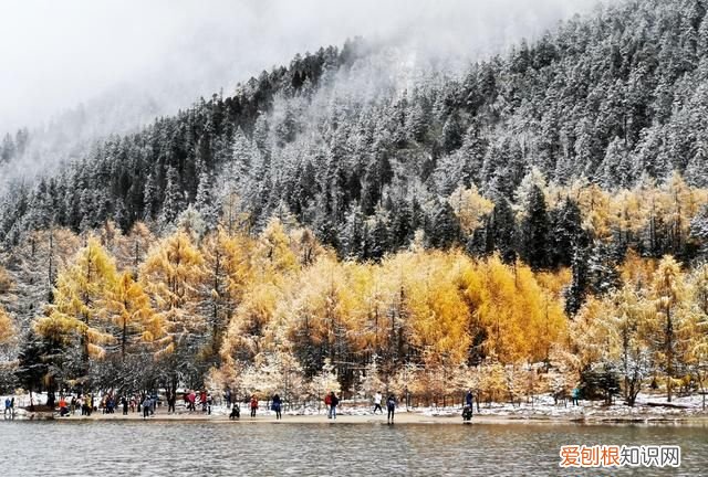 九寨沟和毕棚沟哪个更值得一去,九寨沟毕棚沟自由行最全攻略