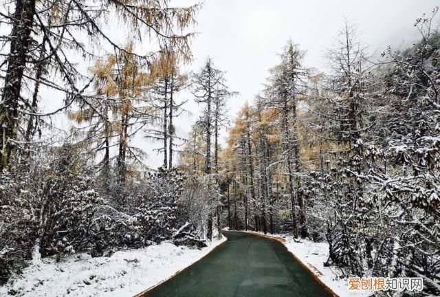 九寨沟和毕棚沟哪个更值得一去,九寨沟毕棚沟自由行最全攻略