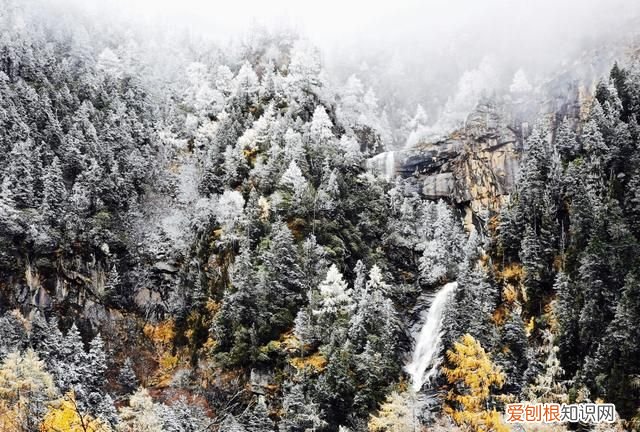 九寨沟和毕棚沟哪个更值得一去,九寨沟毕棚沟自由行最全攻略