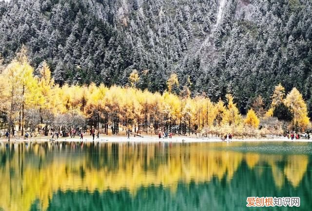 九寨沟和毕棚沟哪个更值得一去,九寨沟毕棚沟自由行最全攻略