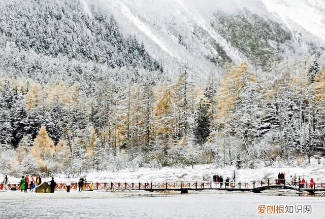 九寨沟和毕棚沟哪个更值得一去,九寨沟毕棚沟自由行最全攻略