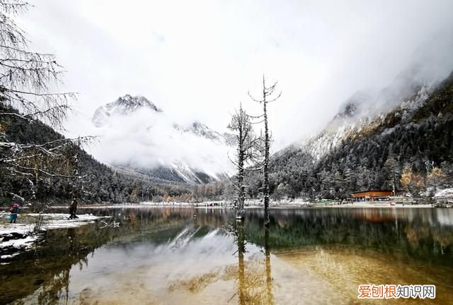 九寨沟和毕棚沟哪个更值得一去,九寨沟毕棚沟自由行最全攻略