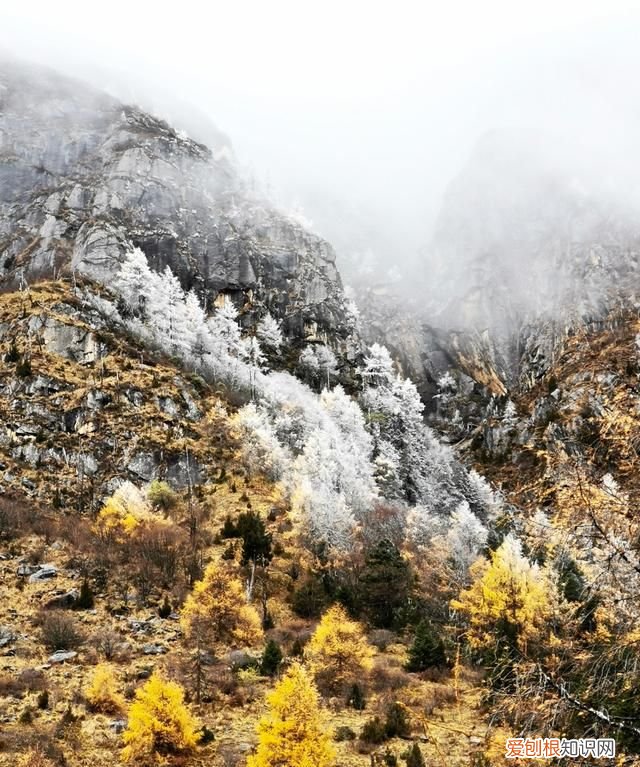 九寨沟和毕棚沟哪个更值得一去,九寨沟毕棚沟自由行最全攻略