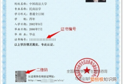 学信网报告编号怎么查，教育部学信网的认证报告编号怎么查询不到