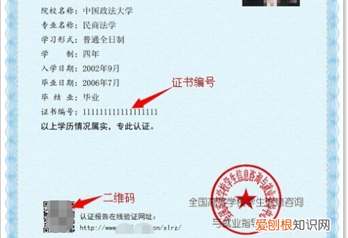 学信网报告编号怎么查，教育部学信网的认证报告编号怎么查询不到