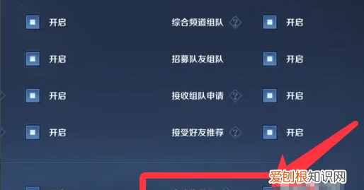 王者荣耀如何开启大头像显示,王者荣耀头像显示不出来是怎么回事