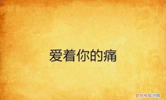 为所有爱执着的痛是什么歌