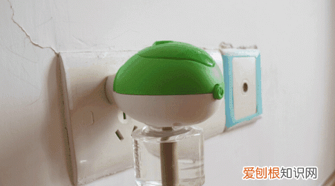 室内最有效的驱蚊方法，家里蚊子太多有啥好的驱蚊方法