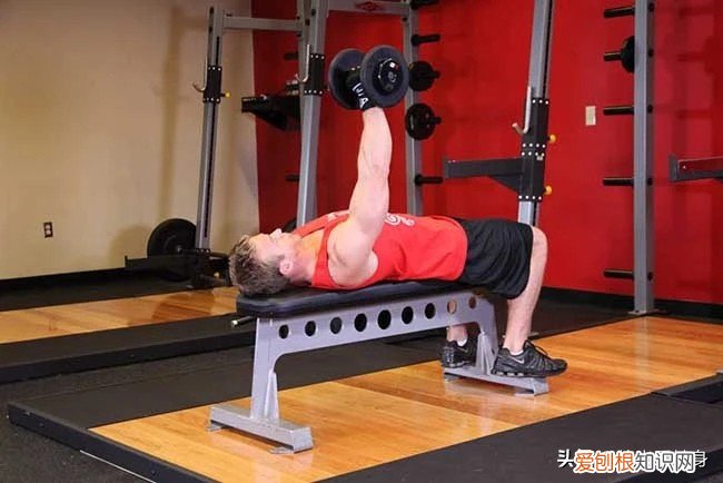 哑铃哪个牌子的质量好多少钱一对