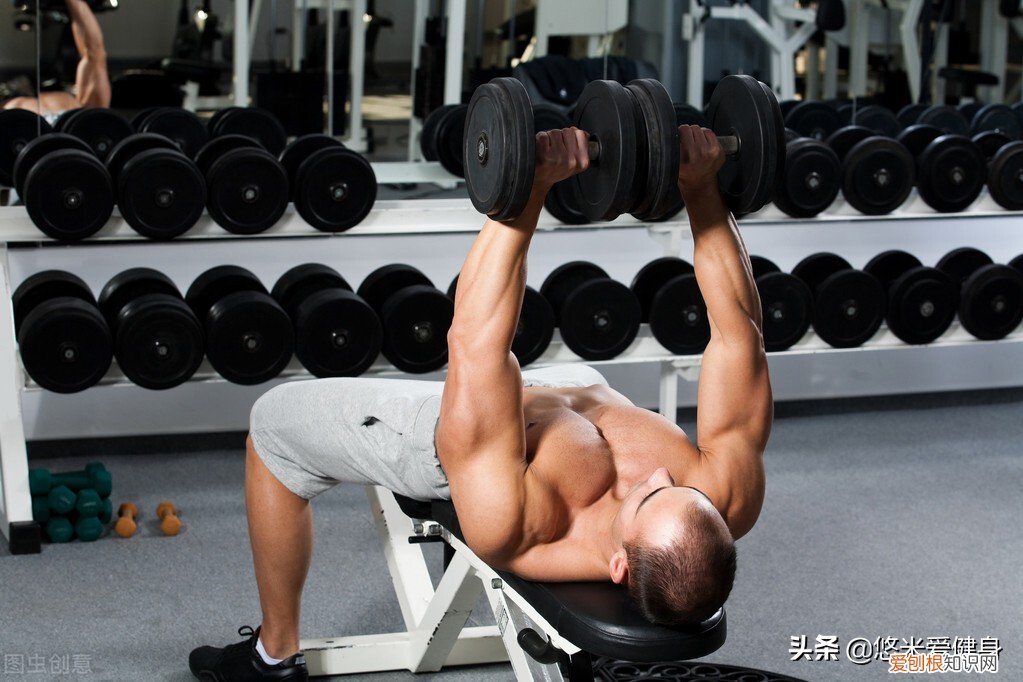 哑铃哪个牌子的质量好多少钱一对