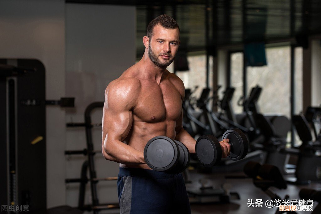 哑铃哪个牌子的质量好多少钱一对