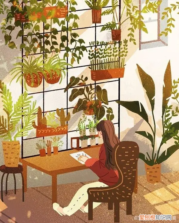 新美婷内衣怎么样品质真的好吗