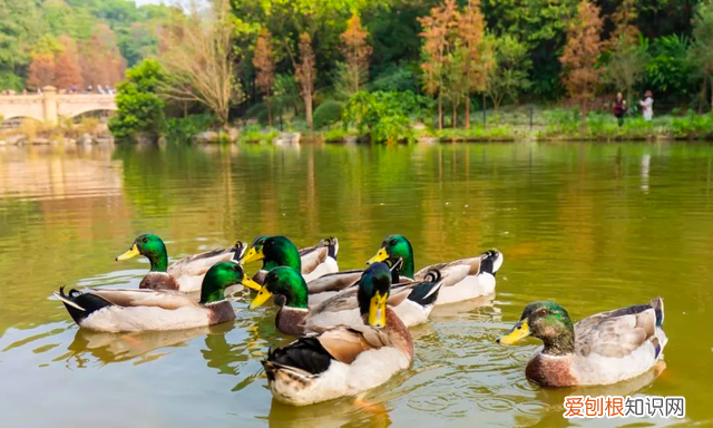 广州10个必去打卡的地方