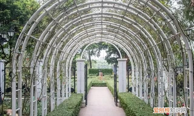 广州10个必去打卡的地方