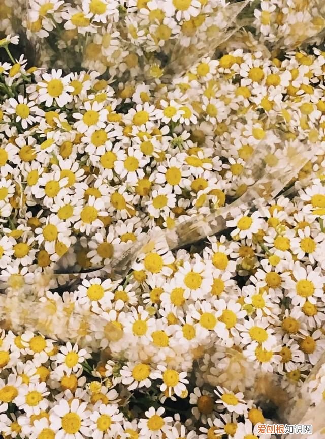 广州10个必去打卡的地方