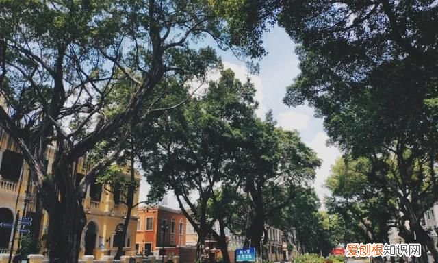 广州10个必去打卡的地方