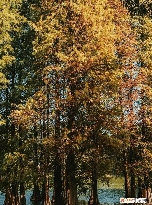 广州10个必去打卡的地方