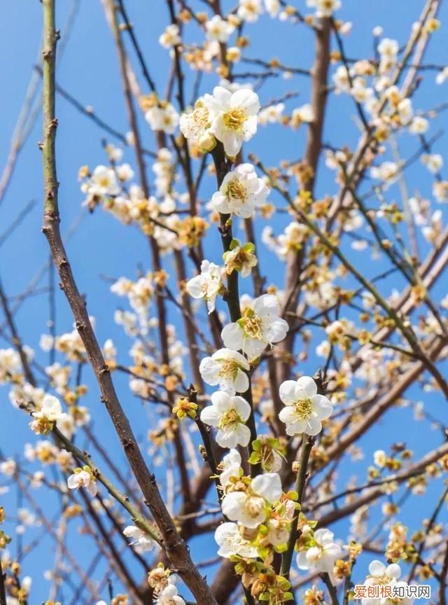 广州10个必去打卡的地方